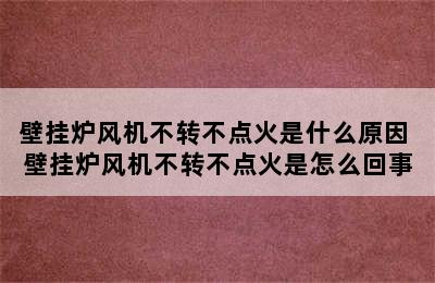 壁挂炉风机不转不点火是什么原因 壁挂炉风机不转不点火是怎么回事